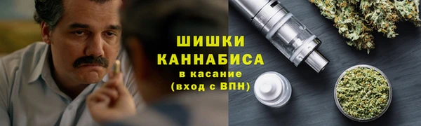 ECSTASY Новозыбков