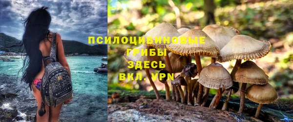 COCAINE Новодвинск
