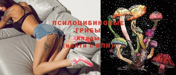 герыч Новокубанск