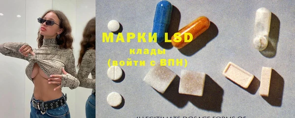 ECSTASY Новозыбков
